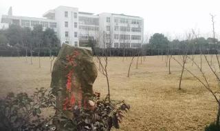 马鞍山师范高等专科学校的宿舍条件怎么样,学校在市区吗 马鞍山师范高等专科