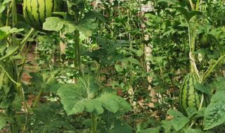 阳泉长途汽车站 阳泉长途汽车站