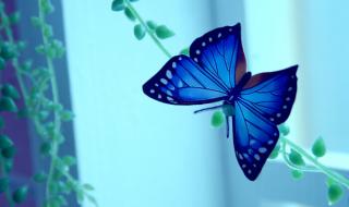 我喜欢吃你的花蜜 我喜欢吃你的花蜜