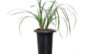 假一赔三鉴定及赔付流程 淘宝假一赔三申请