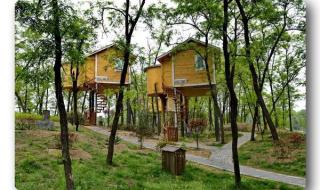 郑州真人cs 郑州真人cs