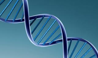 关于化学剂在日常生活中的使用 化学在生活中的应用